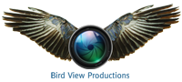 Bird view productions Logo